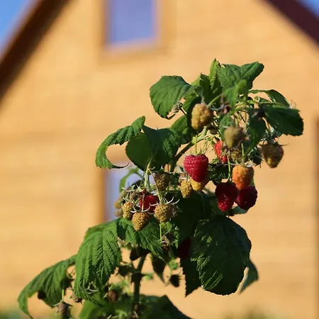 Letniskowy Orzechowa Chata *